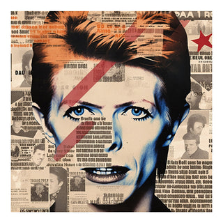 P-10-101-102-115-0052-1.jpg;full color, collage-style, glam, 80s, Bowie, David Bowie, newspaper clippings, red, blue, cream, black, pop-art
