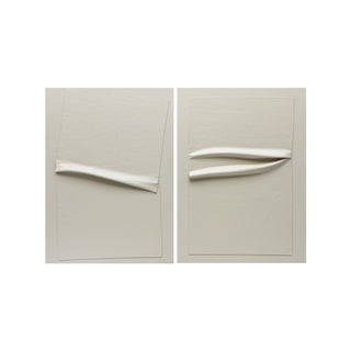 monochrome abstract diptych on a white background

sku: P-10-102-107-104-0001-1