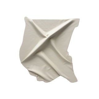 White fabric abstract art piece with a crumpled texture on a white background

sku: P-10-102-107-104-0002-1