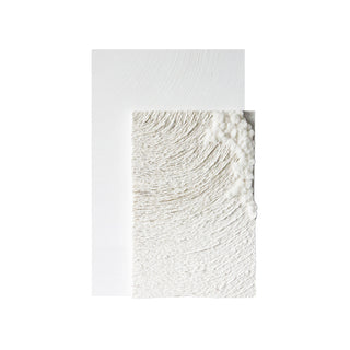Textured white wall art on a white background

sku: P-10-102-111-104-0005-1