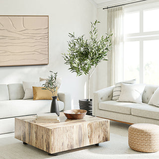 Modern living room with light-colored furniture, a wooden coffee table, and decorative plants.

sku: P-10-103-122-111-0004-1